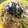 カナ（ミーナ）'s cooksnap of when they made オクラとみょうがと豚バラ肉の和風パスタ♪.