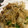 ちゃんみけ's cooksnap of when they made さっぱり！オクラと梅の和え物.