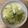かおり♡♡♡'s cooksnap of when they made 春キャベツのホットサラダ.