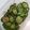 クック65EMTE☆'s cooksnap of when they made きゅうりのおかかポン酢あえ.