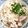 yukakosan1's cooksnap of when they made うどんのベトナムフォー風.