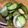 クック676014☆'s cooksnap of when they made きゅうりとミョウガのサッパリ和え.