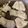 トラととら's cooksnap of when they made 白身魚のソテー.