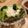 3匹のかえる's cooksnap of when they made お豆腐ドレッシング♫シーザーサラダ風.