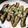★あち★★'s cooksnap of when they made なすの素揚げ.