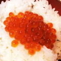 ニャンコリッキー's cooksnap of when they made 【簡単】乗せ放題！自家製イクラ丼.