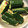 クックGFY8CA☆'s cooksnap of when they made 簡単！ピリ辛きゅうりの和え物♪.