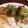 クックQ1VE8W☆'s cooksnap of when they made 豚ロースステーキ肉とブロッコリーの炒め.