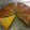 たぬきち☆☆☆'s cooksnap of when they made 炊飯器で簡単☆かぼちゃの寒天ケーキ.