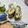 ゆけり３兄弟's cooksnap of when they made ひじきとチーズの卵焼き.