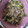 ち　い　す　け's cooksnap of when they made きゅうりと茗荷のヘルシーさっぱり大葉和え.