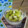 愛じゃな～い？'s cooksnap of when they made ✿大根おろし＆キウイフルーツでサラダ？✿.