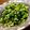 ちゃちゃまる26's cooksnap of when they made 葉野菜のガーリック炒めふりかけ♪.