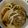 ｽｶｲﾌｨｯｼｭ☆'s cooksnap of when they made [幼児〜]すき焼き風煮込みうどん☆.