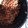 凜子。's cooksnap of when they made 桜えびと三つ葉の炊き込みご飯.