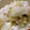 AiYuKE's cooksnap of when they made 白菜大量消費♪簡単♪白菜の和風サラダ.
