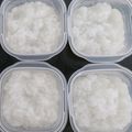 くりんきんとん's cooksnap of when they made 【離乳食中期】炊飯器で作る7倍粥・5倍粥.