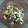トリノオリンピック☆'s cooksnap of when they made 茄子と豚肉の煮浸し.