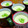 ごとさん。's cooksnap of when they made 枝豆茶碗蒸し.