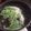 Ｕ字☆'s cooksnap of when they made 中華♡簡単♡絶品わかめスープ.
