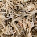 ココキキララ's cooksnap of when they made 材料4つ、もやしとツナの塩昆布和え.