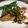olive11's cooksnap of when they made 鮭としめじのバターポン酢炒め.