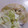 ゆうま大好きママ's cooksnap of when they made 鯖の水煮缶とキャベツのごまあえ.
