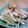 doiko's cooksnap of when they made 簡単☆大根とさきいかのマヨ醤油和え.