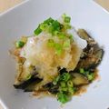 りぃちゃんだよ♪'s cooksnap of when they made 旬のナス！簡単さっぱり素揚げおろし.