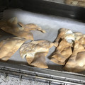 マリアマリママ's cooksnap of when they made トースターで2分。餃子の皮せんべい☆簡単.