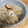 aaaaaaaai's cooksnap of when they made ちくわと大根としめじの炊き込みごはん.