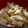 miree's cooksnap of when they made なをねこの、豚丼.