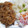 クック2SI6IC☆'s cooksnap of when they made 豚肉と玉ねぎの生姜焼き炒め.