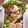 萌絵コ's cooksnap of when they made レンジで10分！厚揚げのきのこあん.