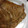 クックTX19OV☆'s cooksnap of when they made 豚の生姜焼き.