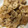 クックM6DK2O☆'s cooksnap of when they made 生姜焼き☆たっぷり大根おろしのタレ.