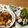 Ri→chan's cooksnap of when they made 鶏の膝軟骨とニラ炒め☆ビールが進む♪.