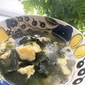 Ami32's cooksnap of when they made 鶏胸肉 簡単 柔らか茹で方＋スープ.