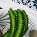 ふぁんたにゃん's cooksnap of when they made 四角豆の下ごしらえ.