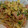 ☆ドキンちゃん☆”'s cooksnap of when they made もやしベーコン卵のオイスターソース炒め.