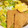 りーとぽん's cooksnap of when they made 簡単煮込みうどん.