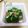 ひトみ's cooksnap of when they made 醤油麹deオクラと納豆の和えもの.