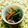 ゆきらっくま's cooksnap of when they made 鯖缶と小松菜のさっと煮.