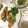 クックGFY8CA☆'s cooksnap of when they made お家でタイ料理「魚の揚げもの」.