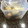 世界一からエミリー's cooksnap of when they made 煮ないでほっとく煮卵★粉末ソース活用.