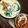 ちえたろう's cooksnap of when they made レンジで簡単！レンコンと豆苗のサラダ♪.