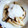 ＊キーツニャン＊'s cooksnap of when they made きのこのおろし和え.