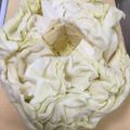 ☆こまっと☆'s cooksnap of when they made 長持ち！きゃべつ、レタス、セロリ保存方法.