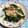 chi−ちゃん's cooksnap of when they made さっぱり☆わかめと玉ねぎのおかかサラダ.