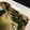 ☆GSSQHY☆'s cooksnap of when they made バジルオイルのトースト.